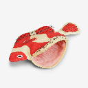 Don Fisher - Etui Portemonnaie CLOWNFISH (small) Purse