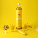 Schmolles - Mango-Maracuja Likör 500ml