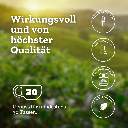 Urban Tea - Hangover Deluxe - Bio Kräuterteemischung im Violettglas - 50g