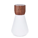 Gingko Design - Large Pentagon Desk Bulb