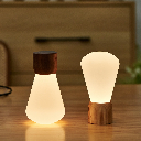 Gingko Design - Large Pentagon Desk Bulb