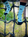 Tintl - Socken Animal - Ostrich