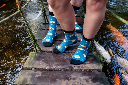 Tintl - Socken Animal - Pufferfish