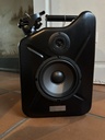 Flipz - Petrol Sound Jerrycan black S mono Nr. 50