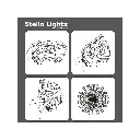 Mea Living - Stella-Dalia, Pergamentpapier weiß 60 cm