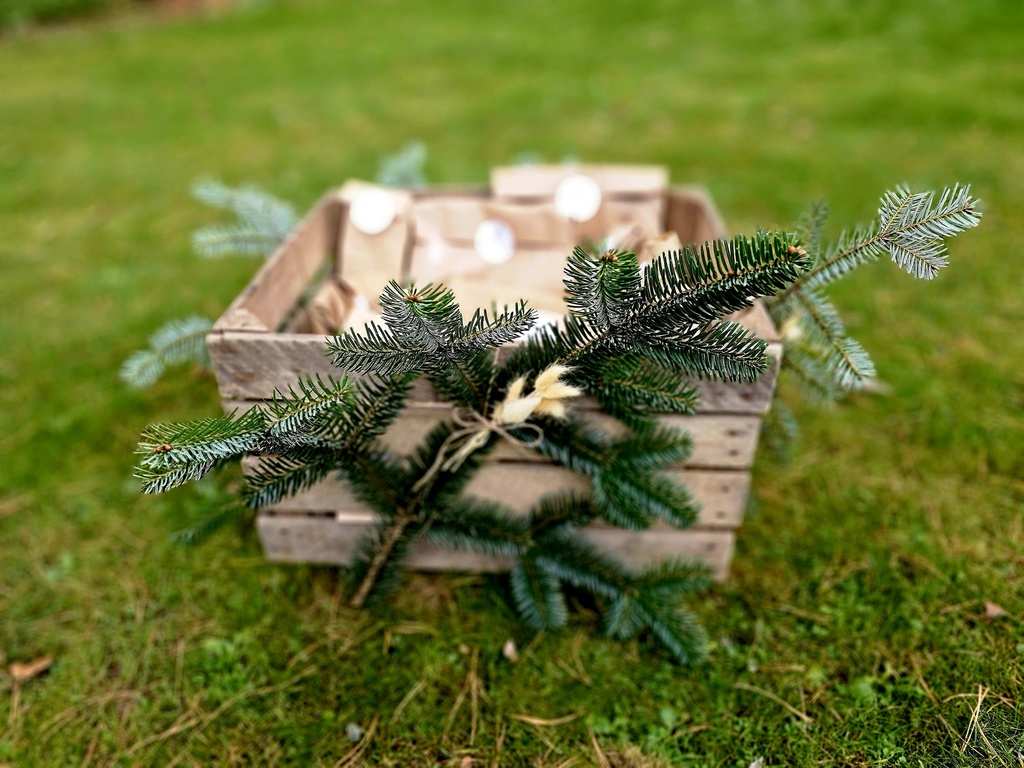 STILBUDE Adventskalender 2025