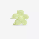 Sasstie - Haarspange - Bloomie Pistaccio