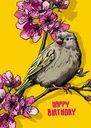 Nobis Design - Postkarte - illi - SOFI happy birthday