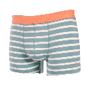 Billybelt - Boxer brief Reef