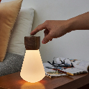 Gingko Design - Large Pentagon Desk Bulb
