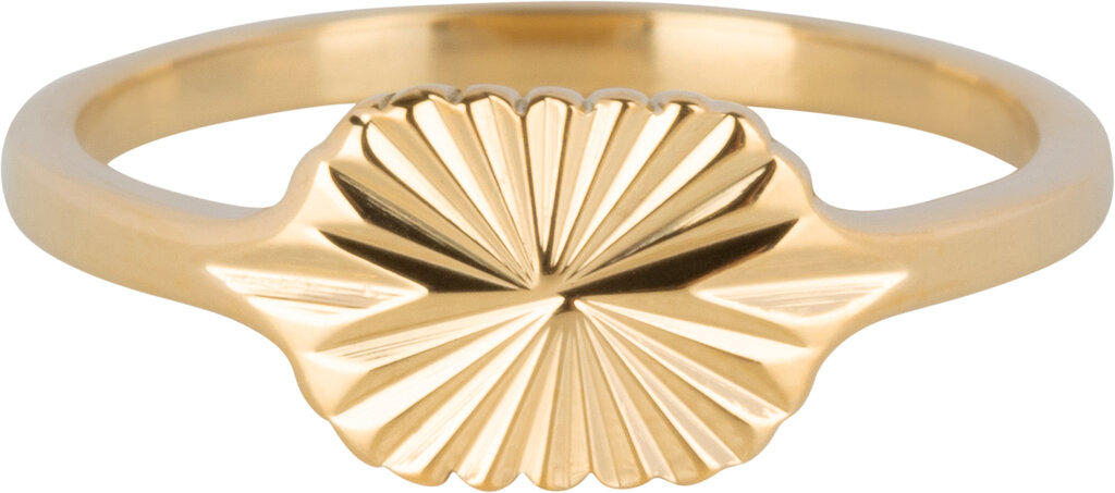 Charmins Ring - R1345 - Gold-Colored Signet Ring Engraving Star Pattern Oval Steel