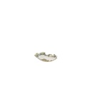 Light & Living - Schale Rediu creme / olive 16x16x3cm