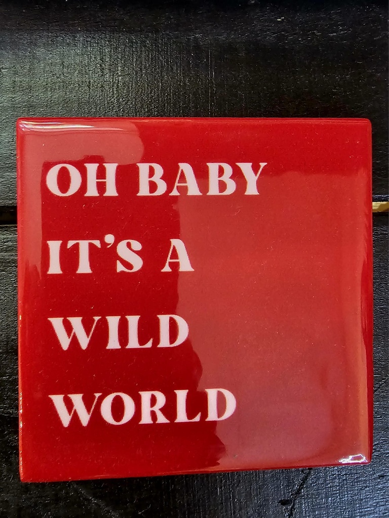 Fliese - Oh baby it's a wild world