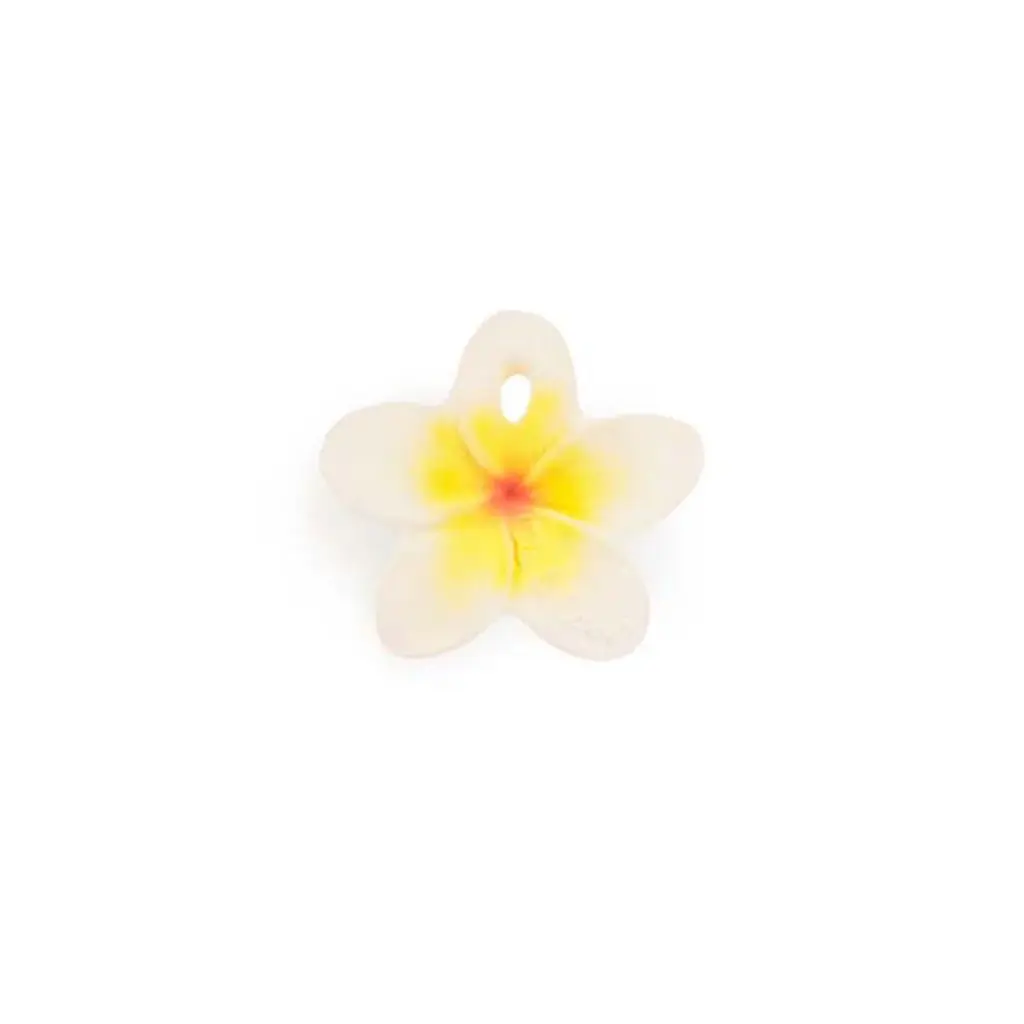 Oli & Carol - Hawaii the flower