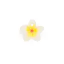 Oli & Carol - Hawaii the flower