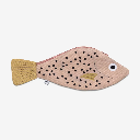 Don Fisher - Etui Täschchen Federmäppchen Portemonnaie REDFISH case