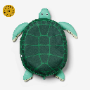 Don Fisher - Kinderrucksack Tasche TURTLE kids backpack