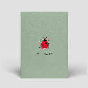 Naturbedacht - Postkarte - Viel Glück (Marienkäfer)