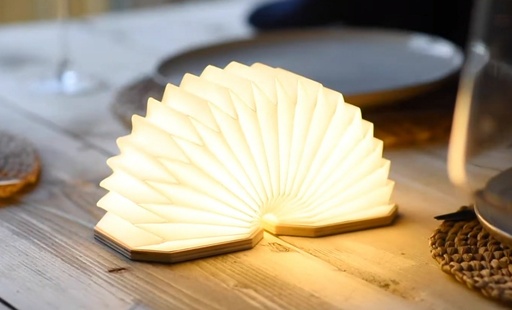 [G006WT] Gingko Design- Smart Accordion Lamp