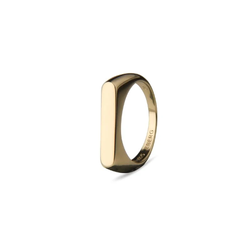Jeberg Jewellery - Pretty Powerful Pieces Signet Ring gold
