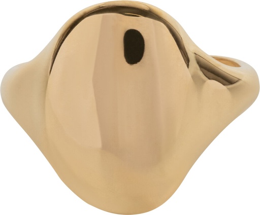 Charmins - R1150 - Goldplated big organic signature ring