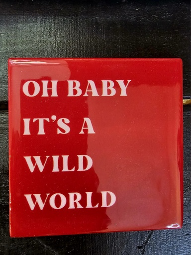 [Te2952] Fliese - Oh baby it's a wild world