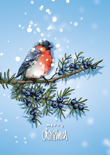 [ilx0094] Nobis Design - Postkarte - illi - Winni