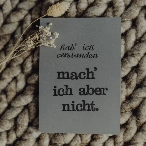 [PK018] Saja - Gestempelte Postkarte - Hab ich verstanden