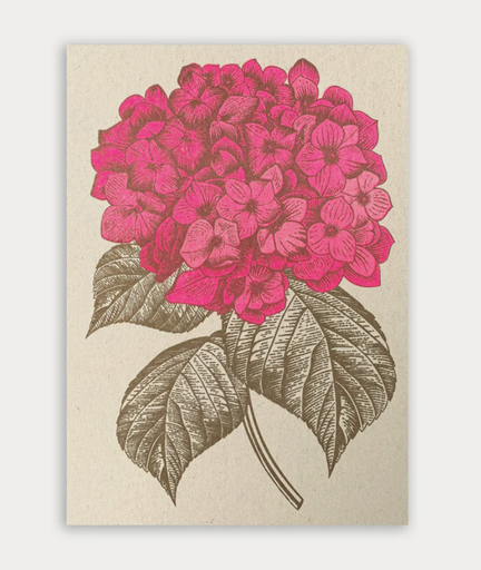 [PK-FPGD-HORT] Togethery - Riso-Druck Postkarte Ökopapier - Hortensie