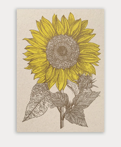 [PK-GDYL-SONN] Togethery - Riso-Druck Postkarte Ökopapier - Sonnenblume