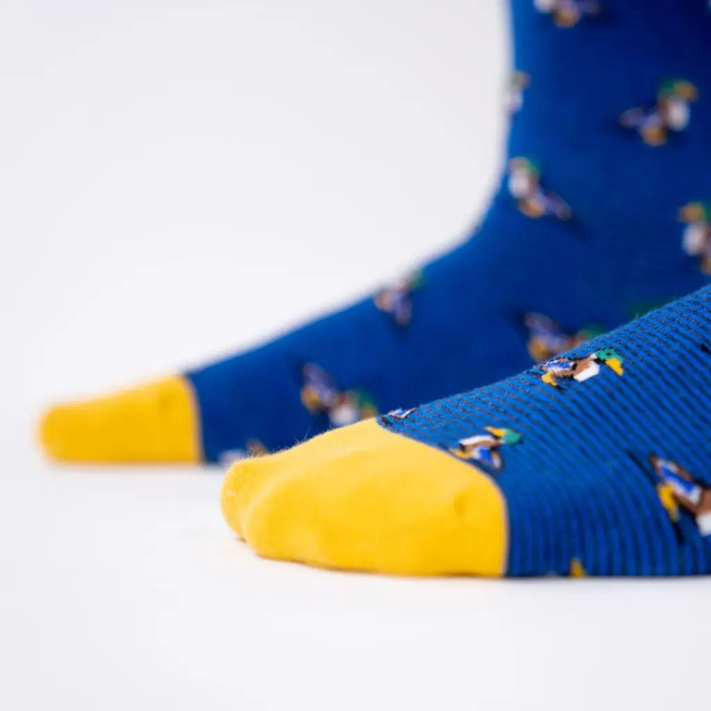 Billybelt - Baumwollsocken Animal DUCK gestreift - blue, red, yellow