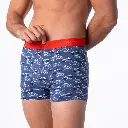 Billybelt - Boxershorts Boxer Brief Bio-Baumwolle - Glacier