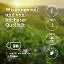 Urban Tea - Talk Dirty to me - Bio Schwarzteemischung mit Maca & Ginseng im Violettglas - 45g