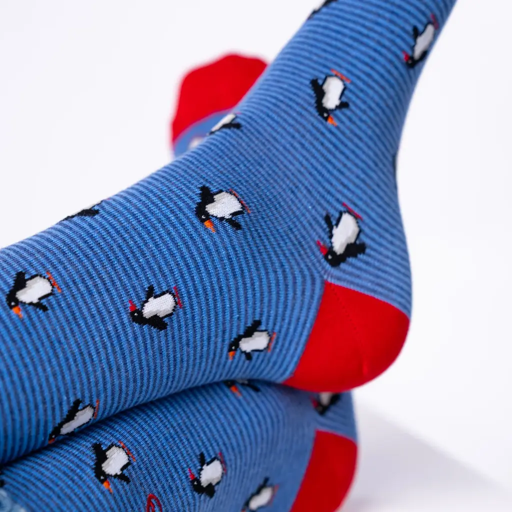 Billybelt - Baumwollsocken Animal PENGUIN gestreift - blue red