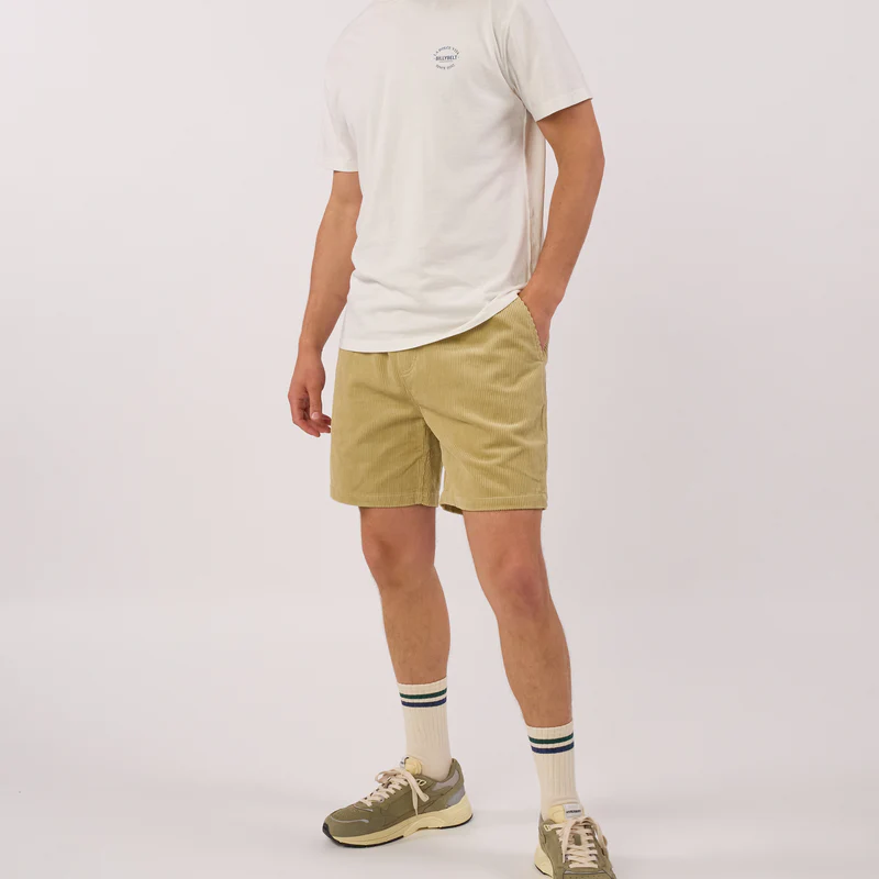 Billybelt - Sommer Shorts Beach Horizon aus Samt - ANIS