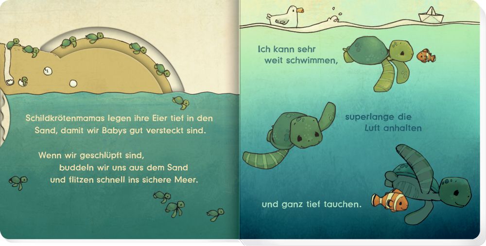 Coppenrath - Kinderbuch - Liebling: Kleine Schildkröte, erzähl mir von dir