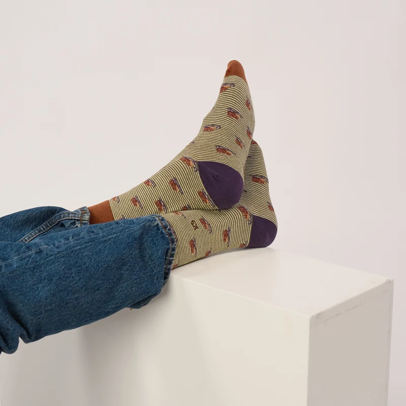 Billybelt - Baumwollsocken Animal HEDGEHOG gestreift
