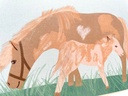 Elena Klein Illustration - Postkarte - Pferd mit Pony