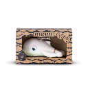 Oli & Carol - Walter the Whale