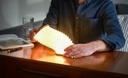 Gingko - Smart Accordion Lamp