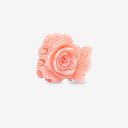 Sasstie - Haarspange - Rosary Blossom
