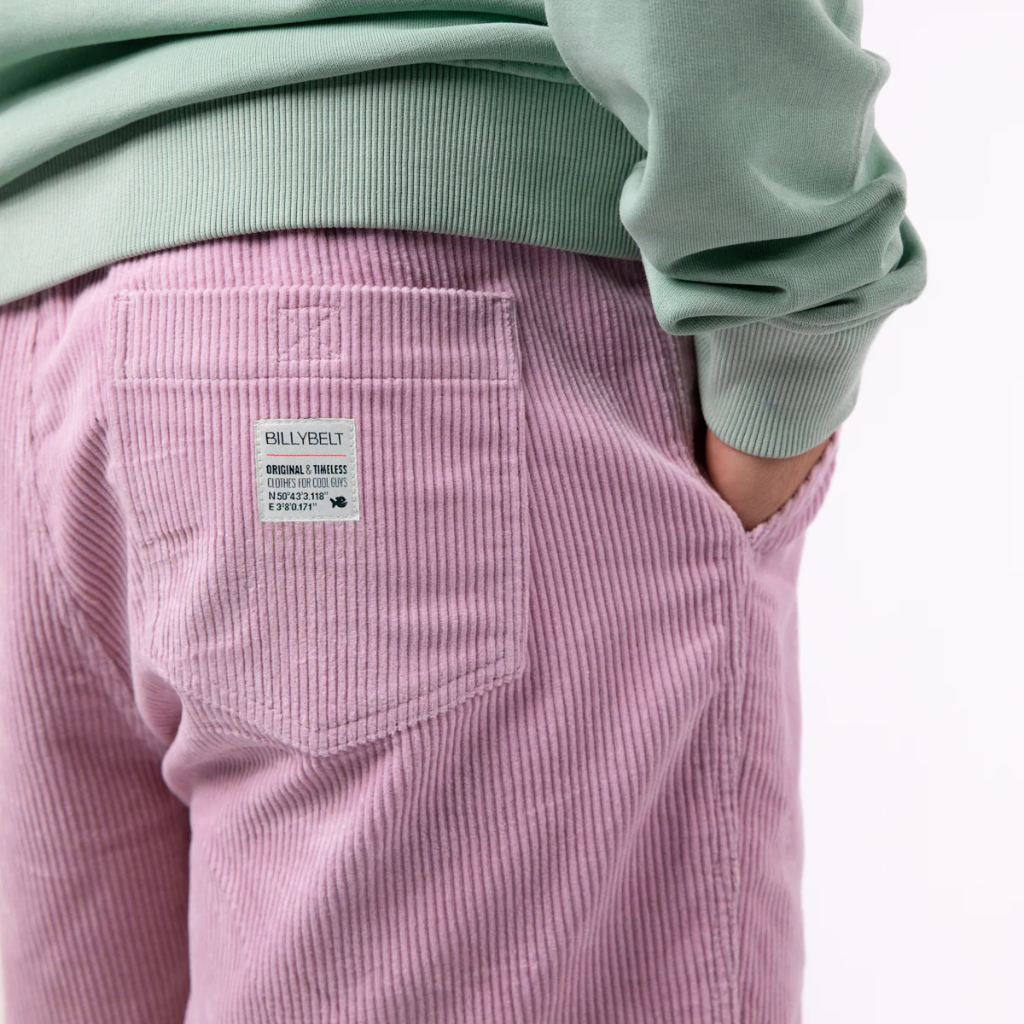 Billybelt - Sommer Shorts Beach Horizon aus Samt - Parme hellblau