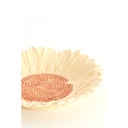 Light & Living - Schale Severa light orange 27x4x5cm