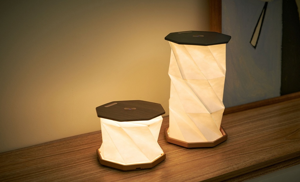 Gingko Design - Twist Hexagon Lamp (new design)