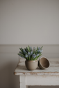 COOEE - Bonbonniere 18cm Sand / Shell
