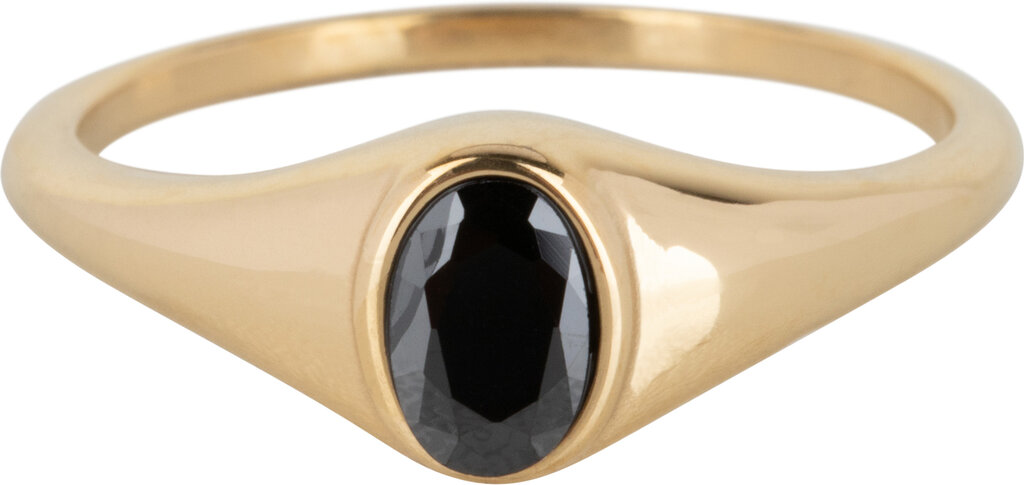 Charmins Ring - R1077 - Siegelring Oval Schwarzer Stein Gold