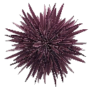 Mea Living - Stella-Dalia, Pergamentpapier burgundy 40cm