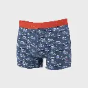 Billybelt - Boxershorts Boxer Brief Bio-Baumwolle - Glacier