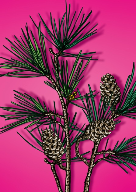 Nobis Design - Postkarte - illi - Zuinzu