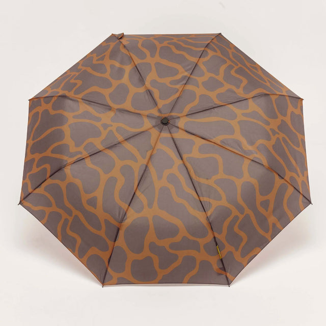 Original Duckhead - Regenschirm mit Automatik - Ripples in coffee compact umbrella 